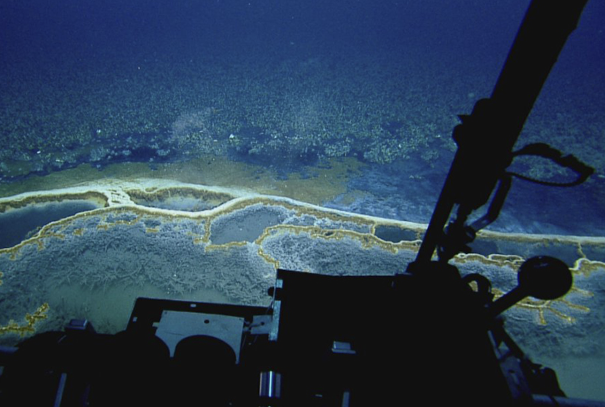 Gulf of Mexico’s unique Orca Basin shouldn't become a carbon dump (commentary)
