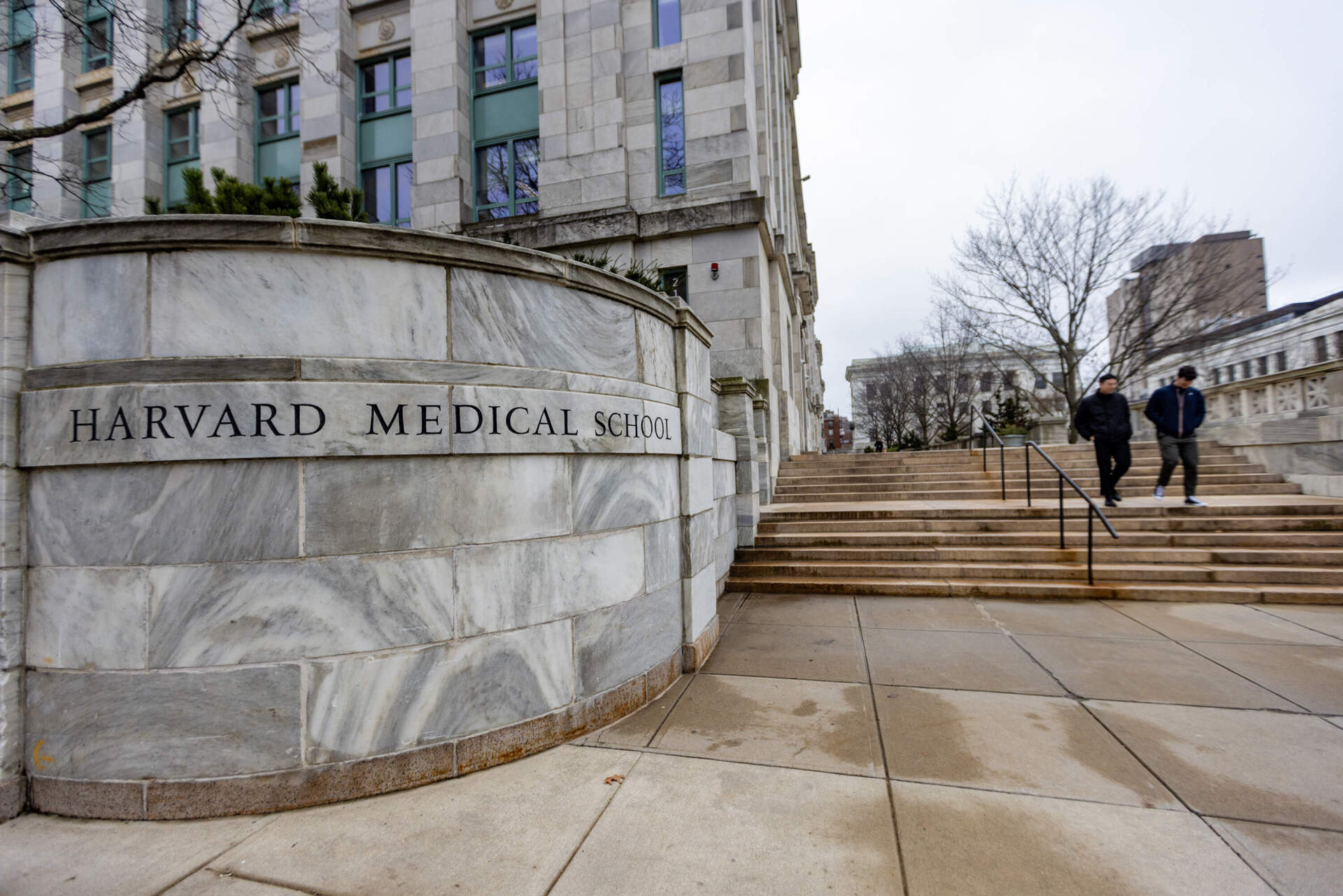 Harvard Medical School in 2024. (Jesse Costa/WBUR)