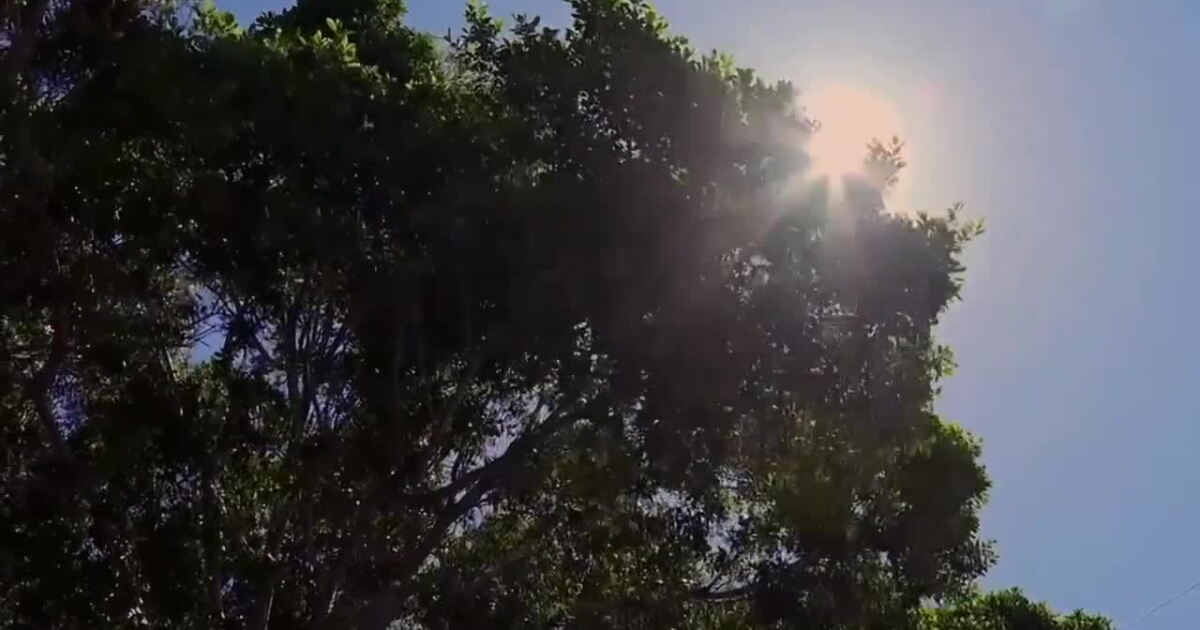 Heat Relief Network faces funding concern as summer deaths mount