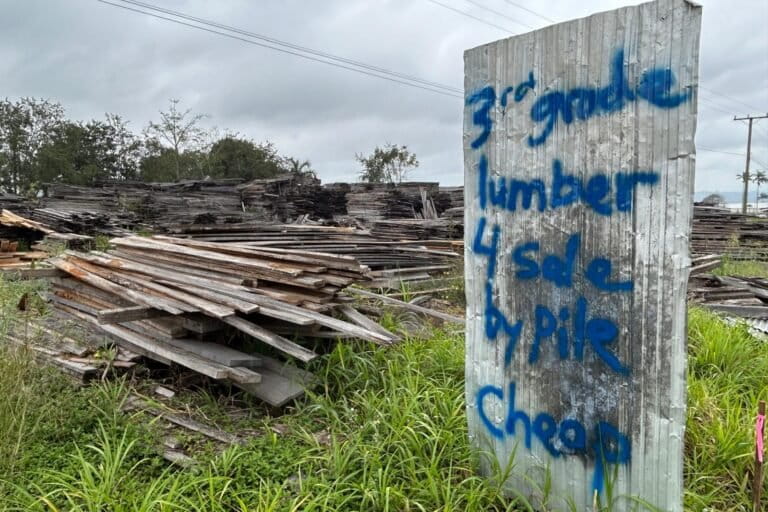 How Mennonites in Belize built a land-buying machine taking over forests
