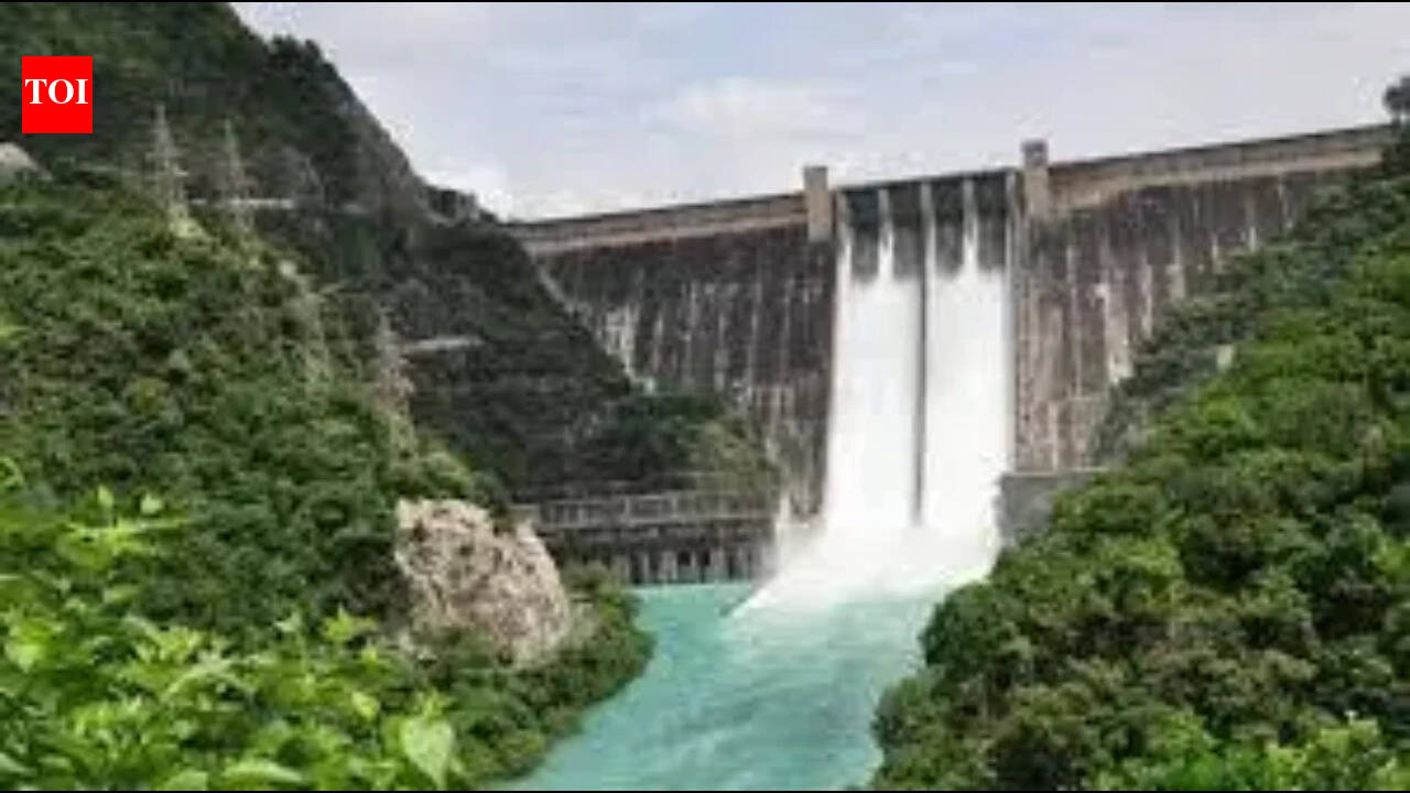 Hydel project shutdown triggers power crisis in J&K | India News