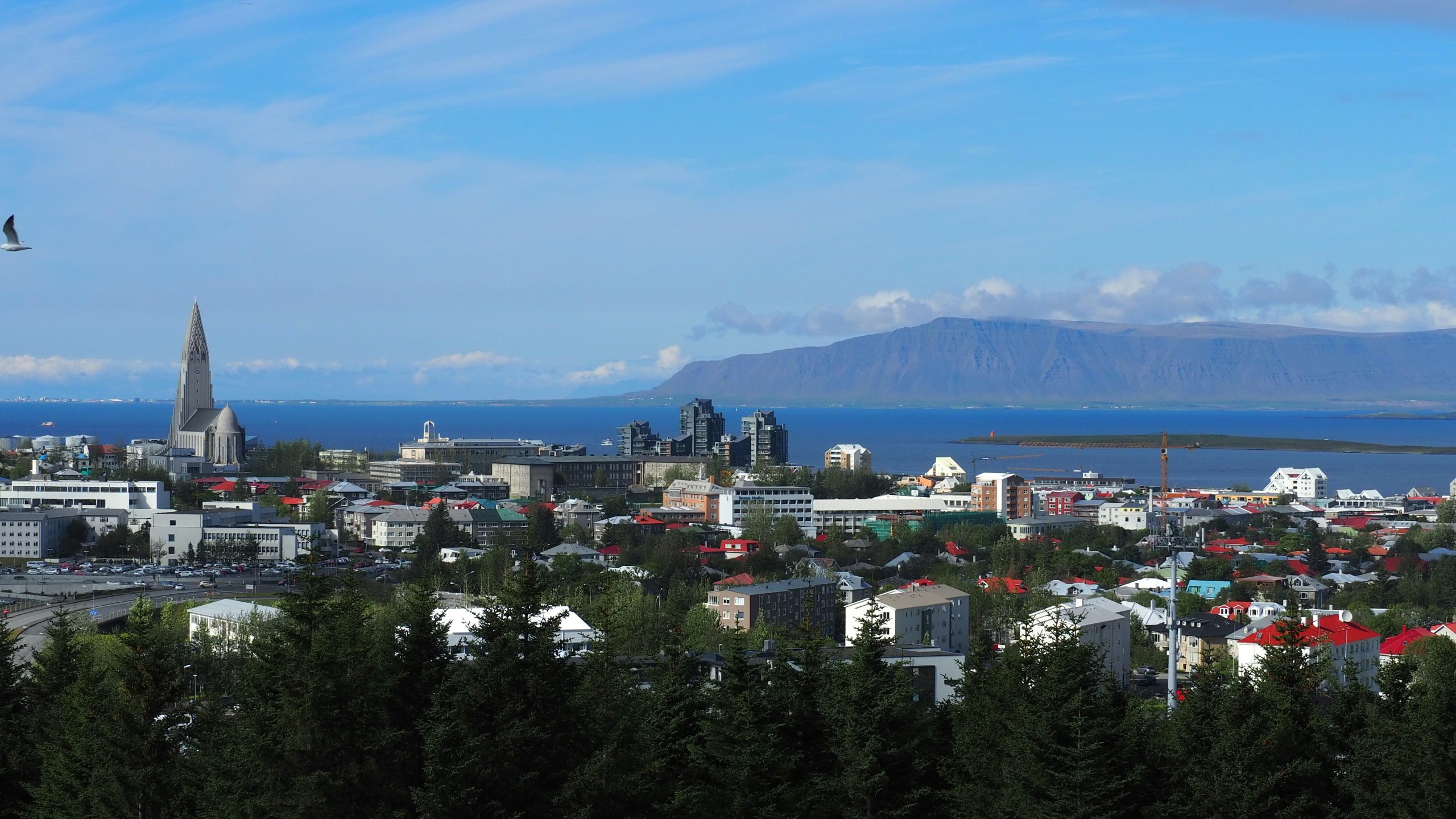 Iceland waits referendum; fish could decide outcome