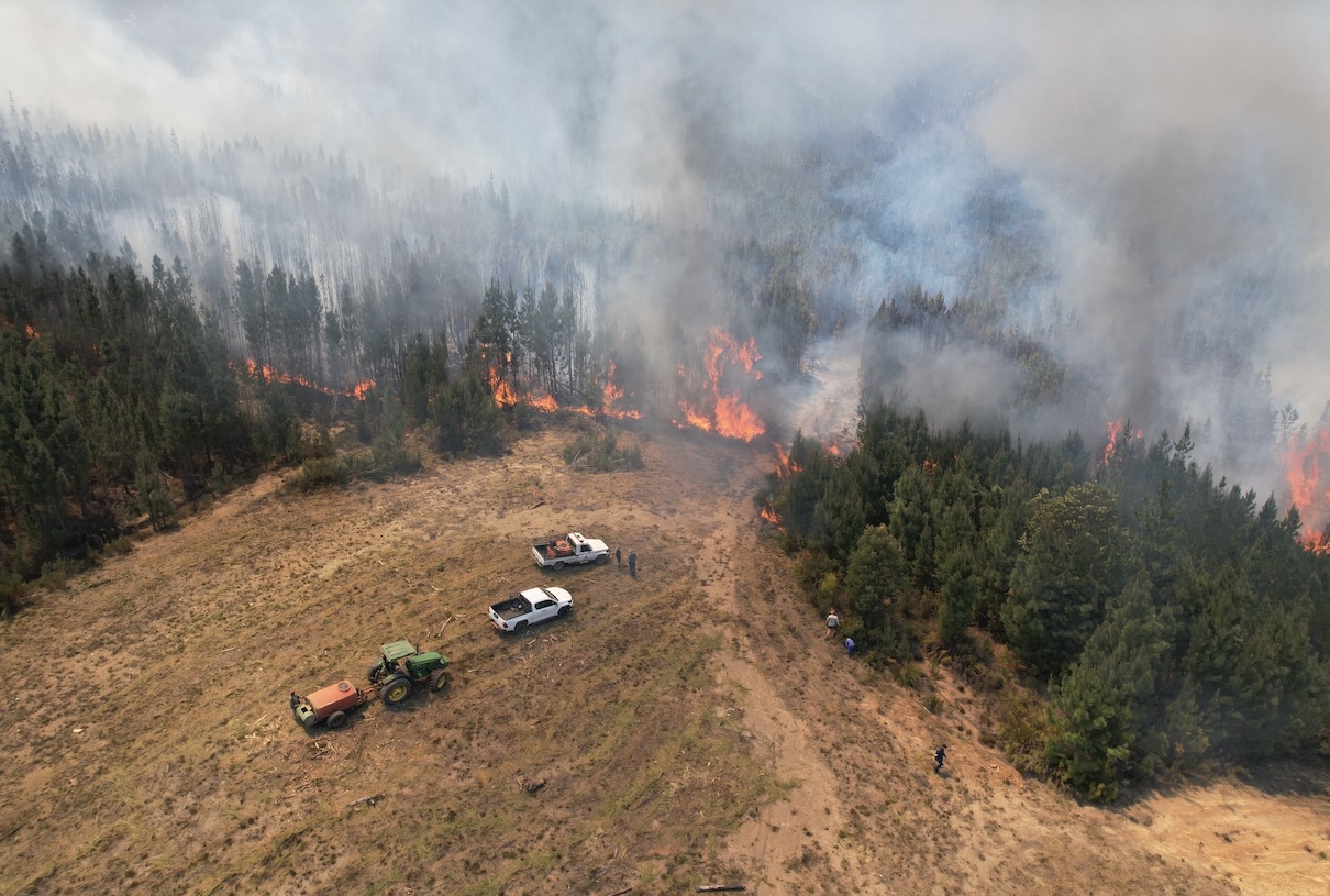 In Spain & South Africa, communities use restoration to 'grow' fire insurance (commentary)