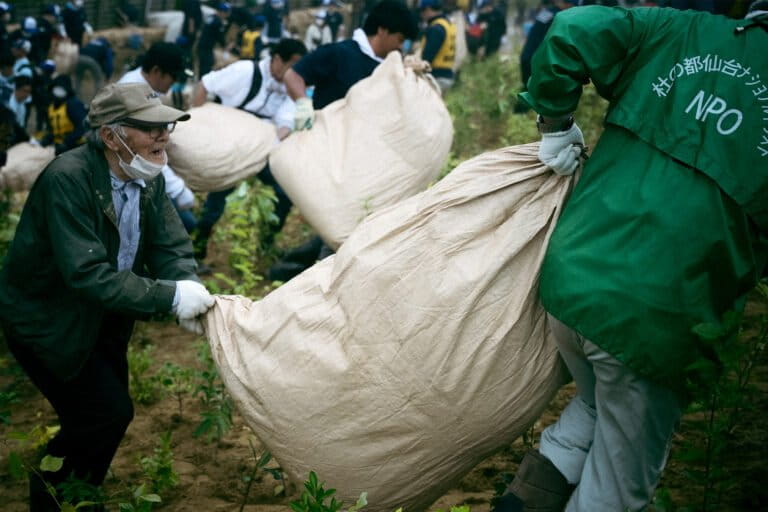 In coastal Japan, one project is planting forests to stand against tsunamis