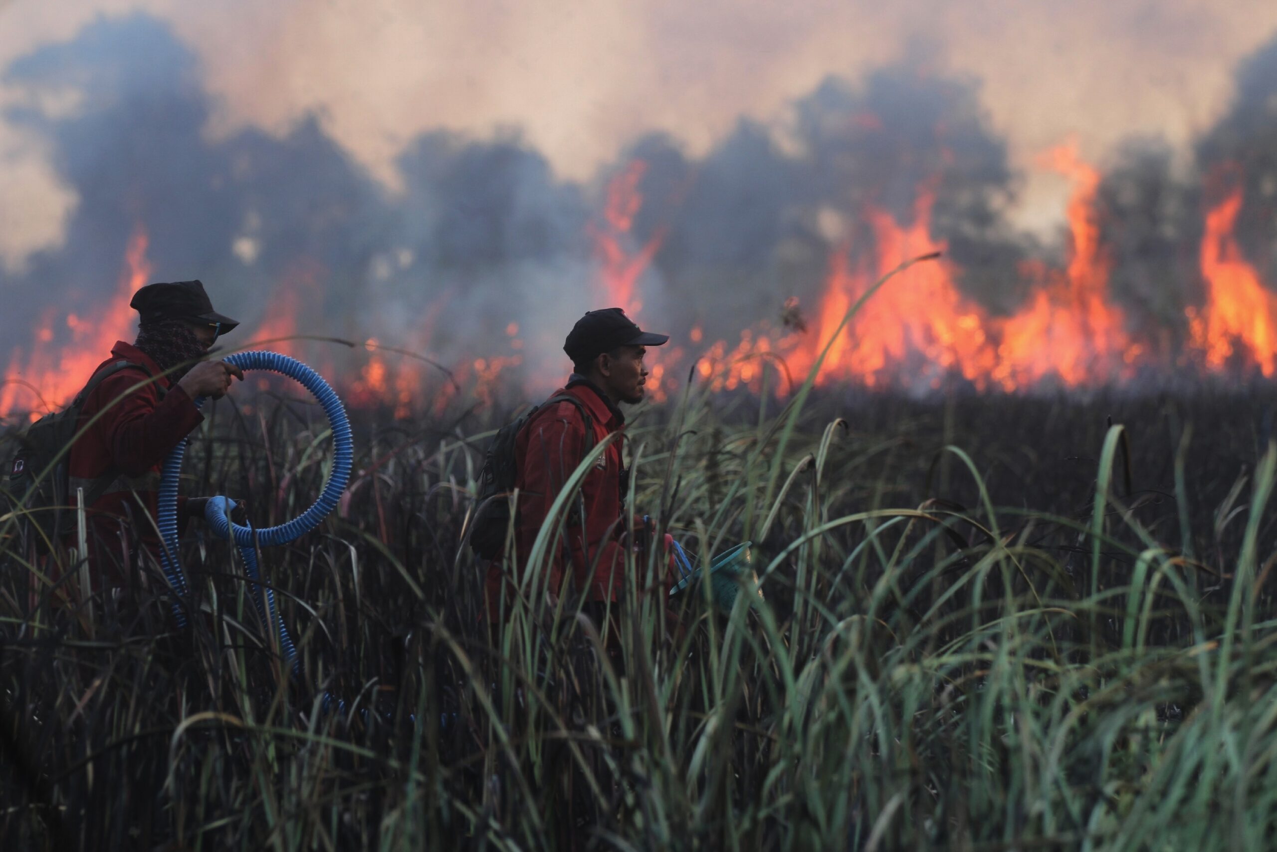 Indonesia charges 72 over fires as haze chokes Borneo and Sumatra
