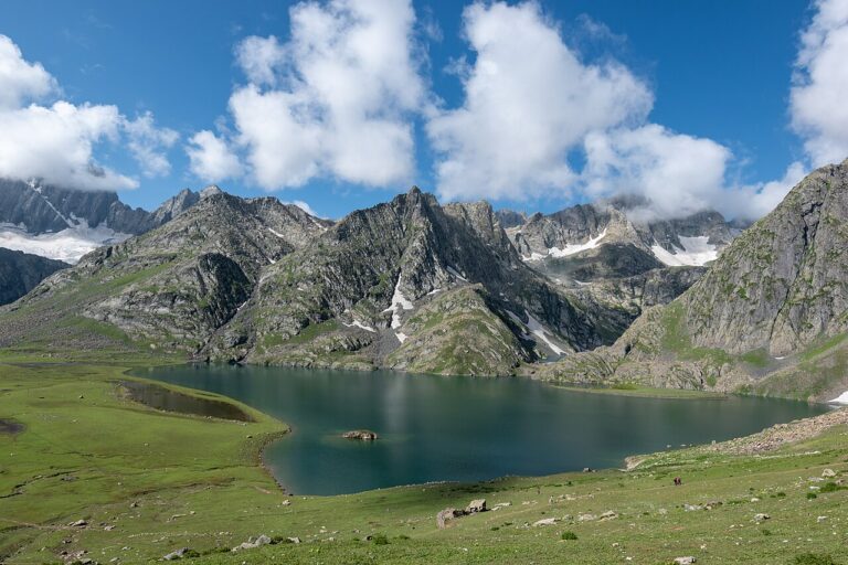 Introduced fish thrive amid Kasmir’s freshwater habitat degradation