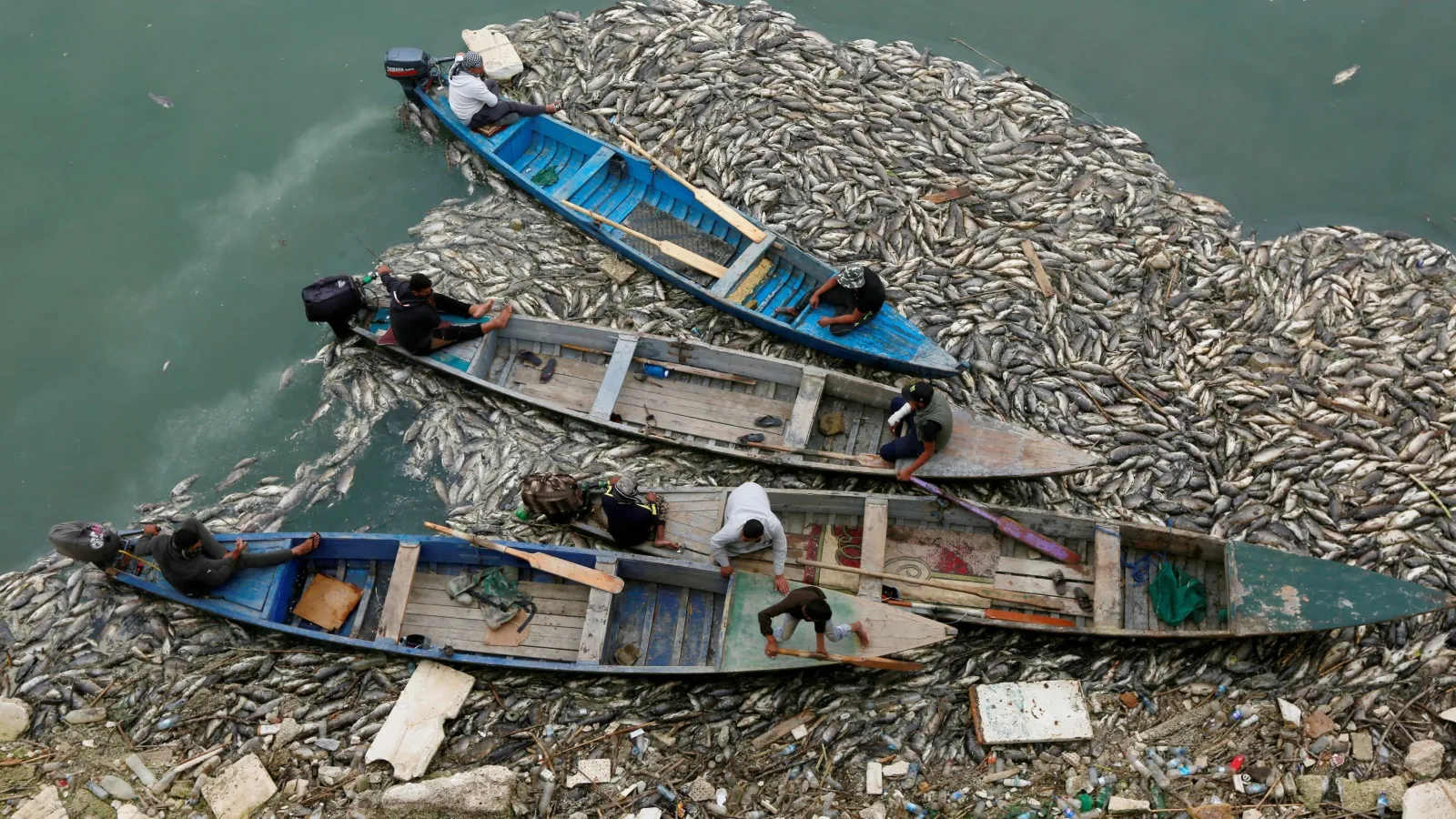Iraq fish deaths: 7 alarming signs of a deepening water and pollution crisis