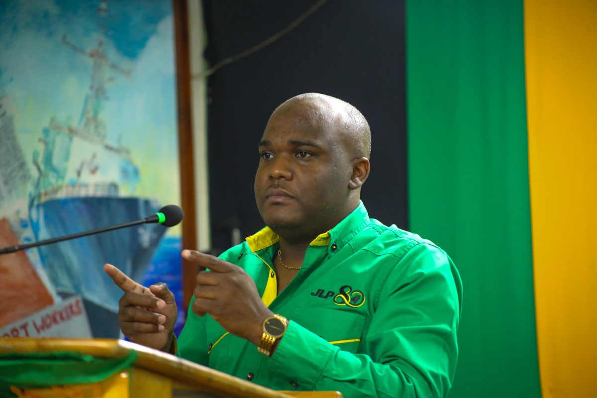 JLP rejects PNP attempts to link gov't to Coopers Pen land turmoil