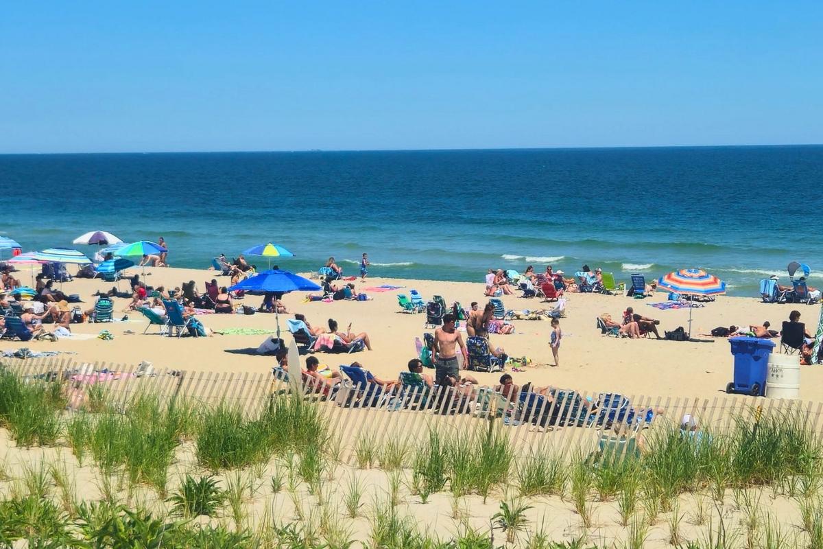 Jersey Shore Report for Aug. 1, 2026