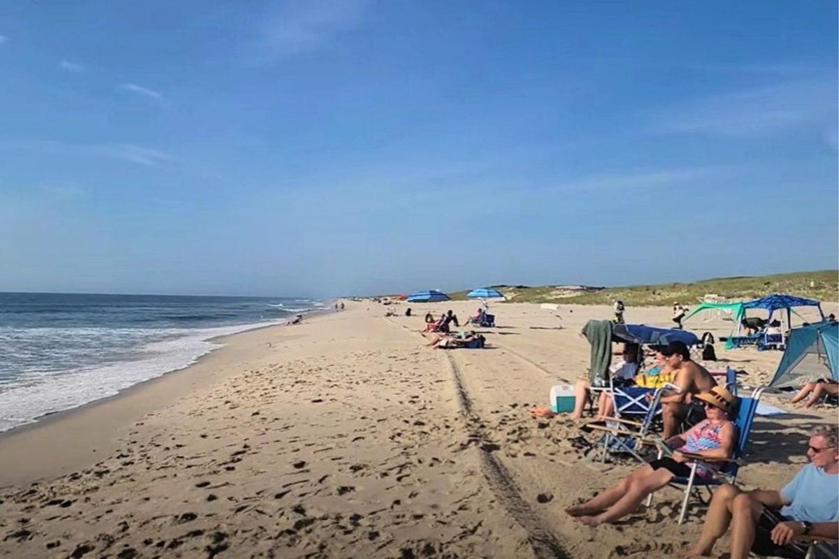 Jersey Shore Report for Aug. 2, 2026