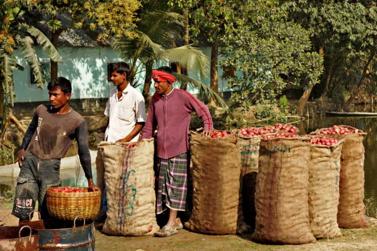 Jute loses ground to plastic despite Bangladesh’s packaging law