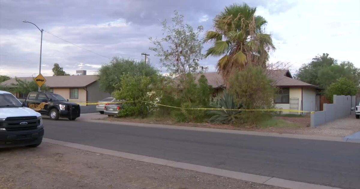 MCSO finds more than a dozen dead cats inside Morristown home