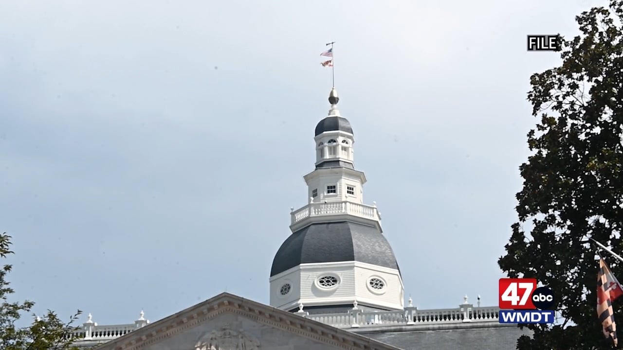 MD GOP leadership files lawsuit against constitutional amendment