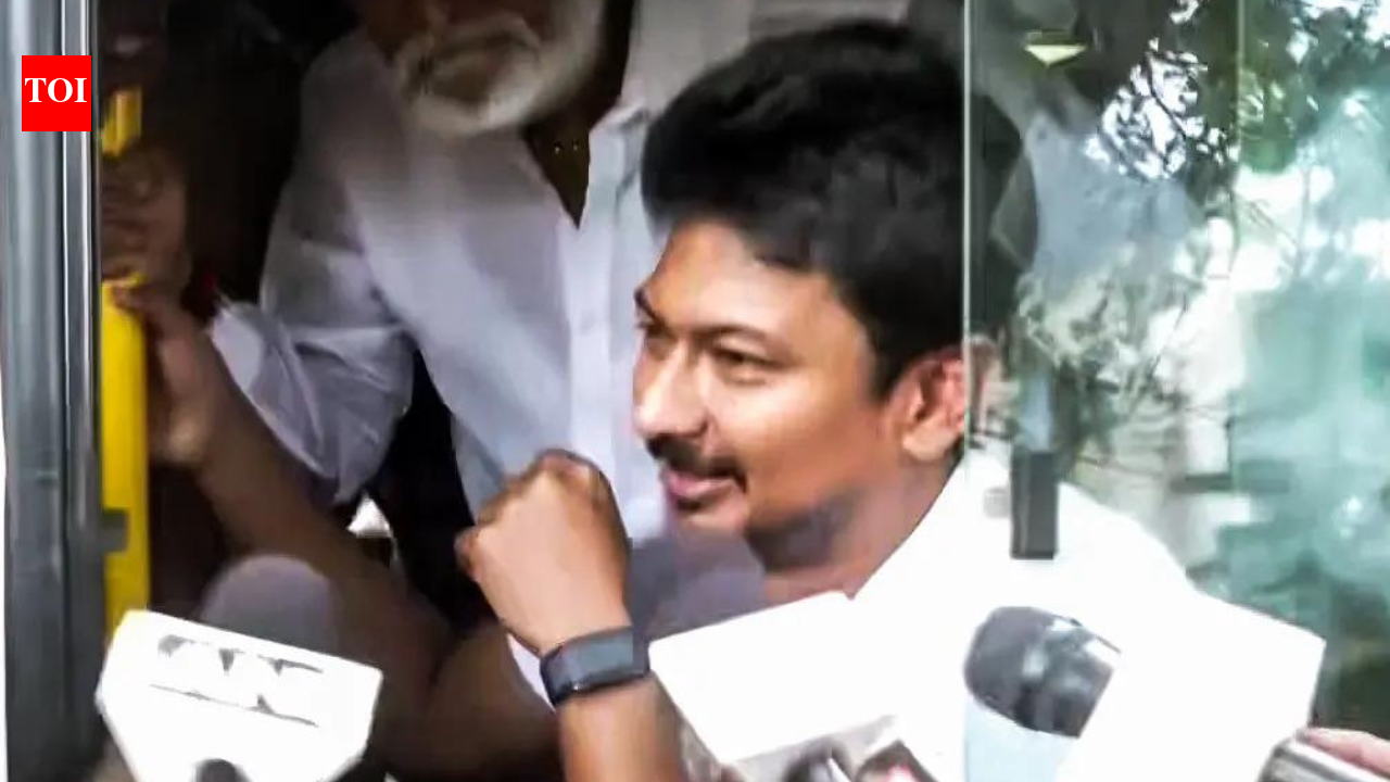 Madras HC orders Udhayanidhi Stalin's release after arrest over 'double meaning' remark | India News