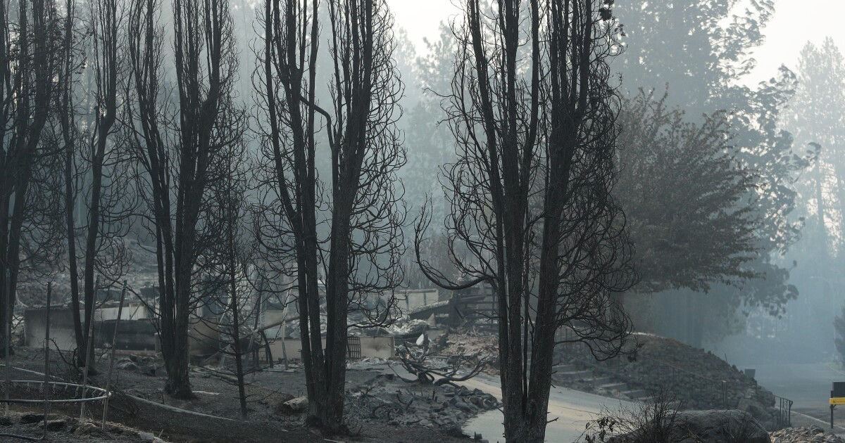 Man convicted of AZ manslaughter arrested for sparking one Spokane-area wildfire