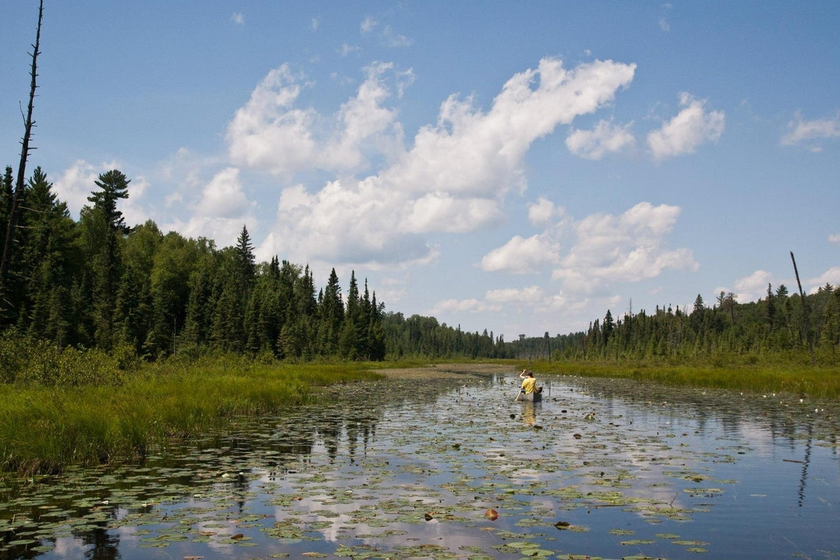 Minnesota governor signs order to stop any mining efforts in Boundary Waters wilderness