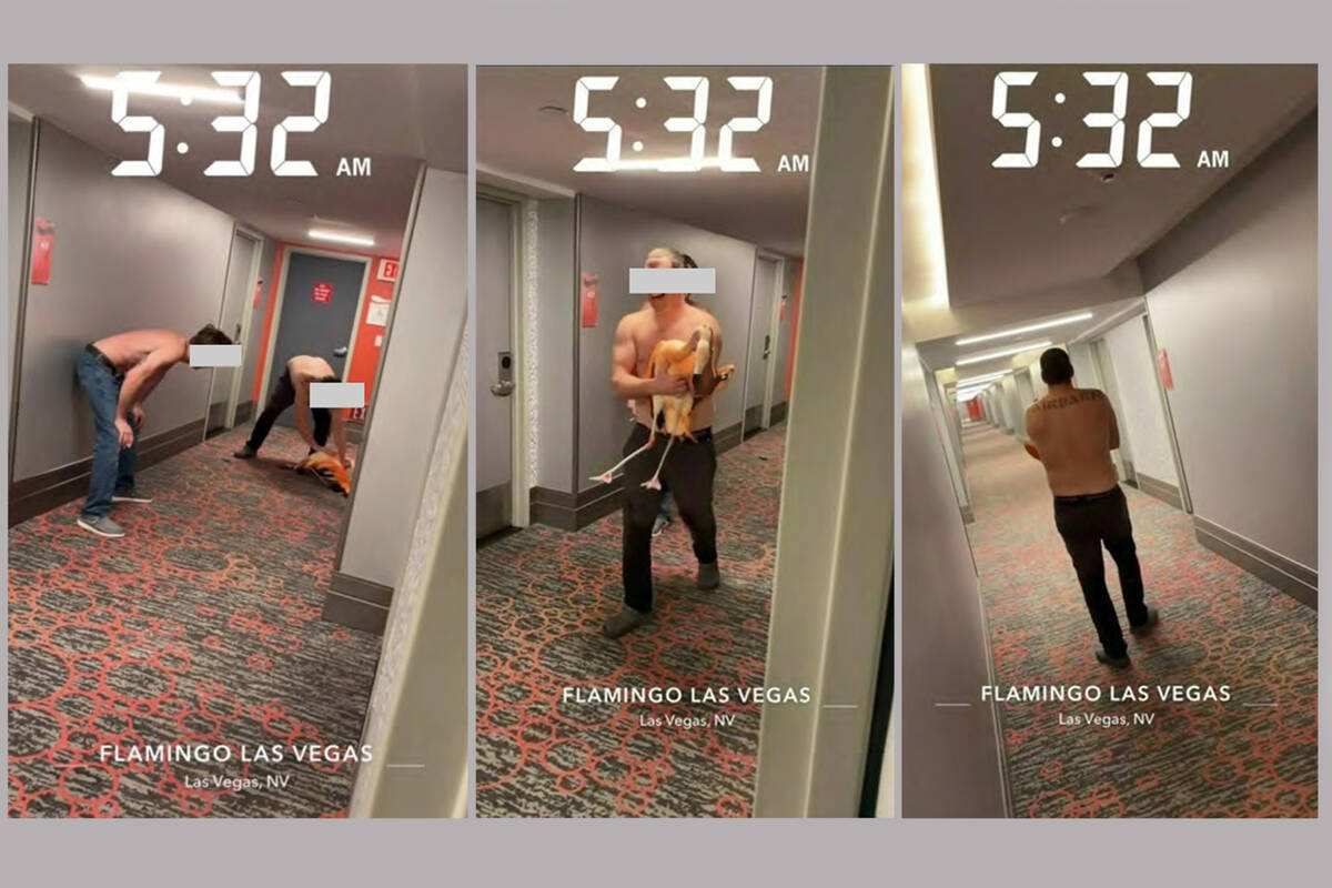 A series of photos from the Flamingo show a man carrying a flamingo through a hotel hallway on ...