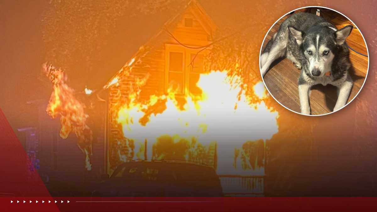 Nebraska dog praised after saving owner from fire
