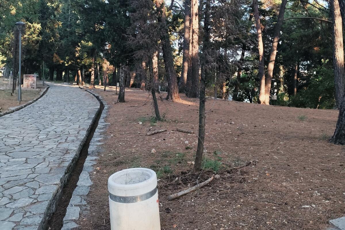 Neuspjela obnova dendroflore u Velikom gradskom parku u Tivtu