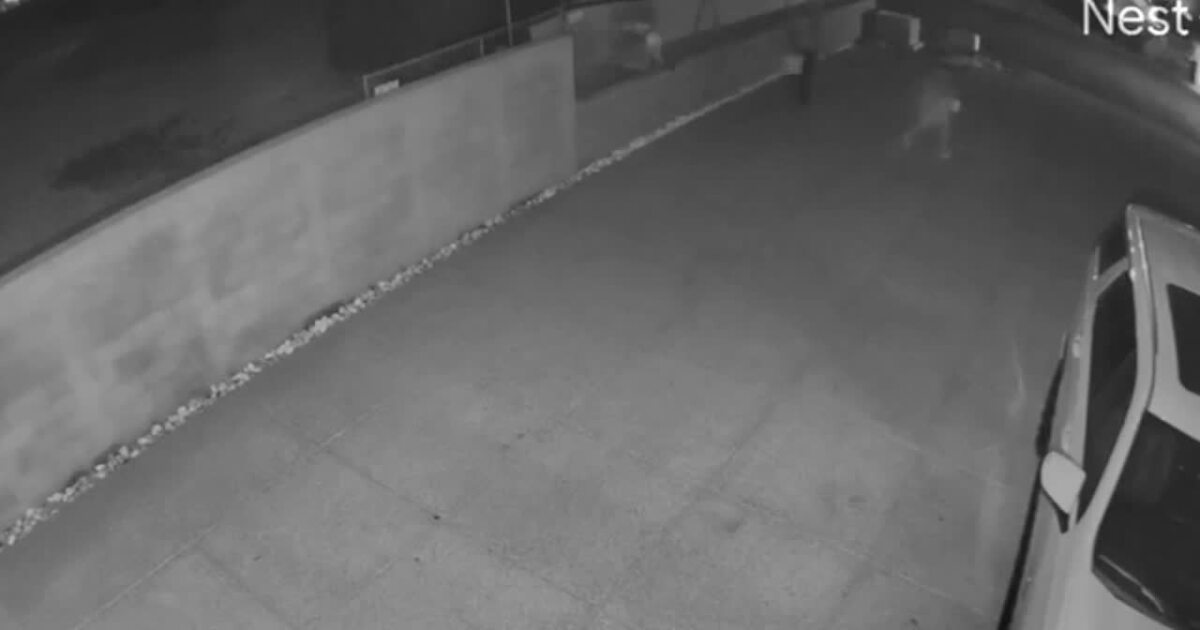 New video, 911 call offer new details in Ketel Marte's $400K Scottsdale burglary