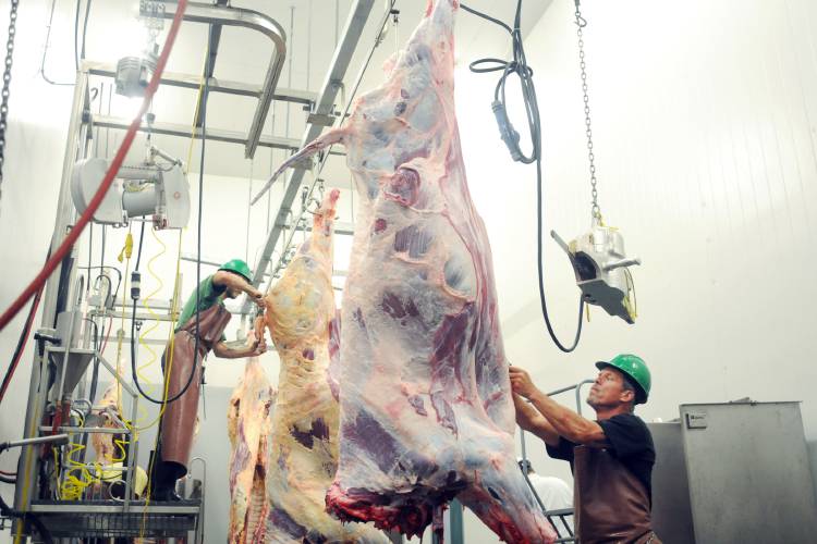 Opinion: Overcoming Gov. Ayotte's veto should be first step in providing farmers with relief and consumers with local meat at reasonable prices