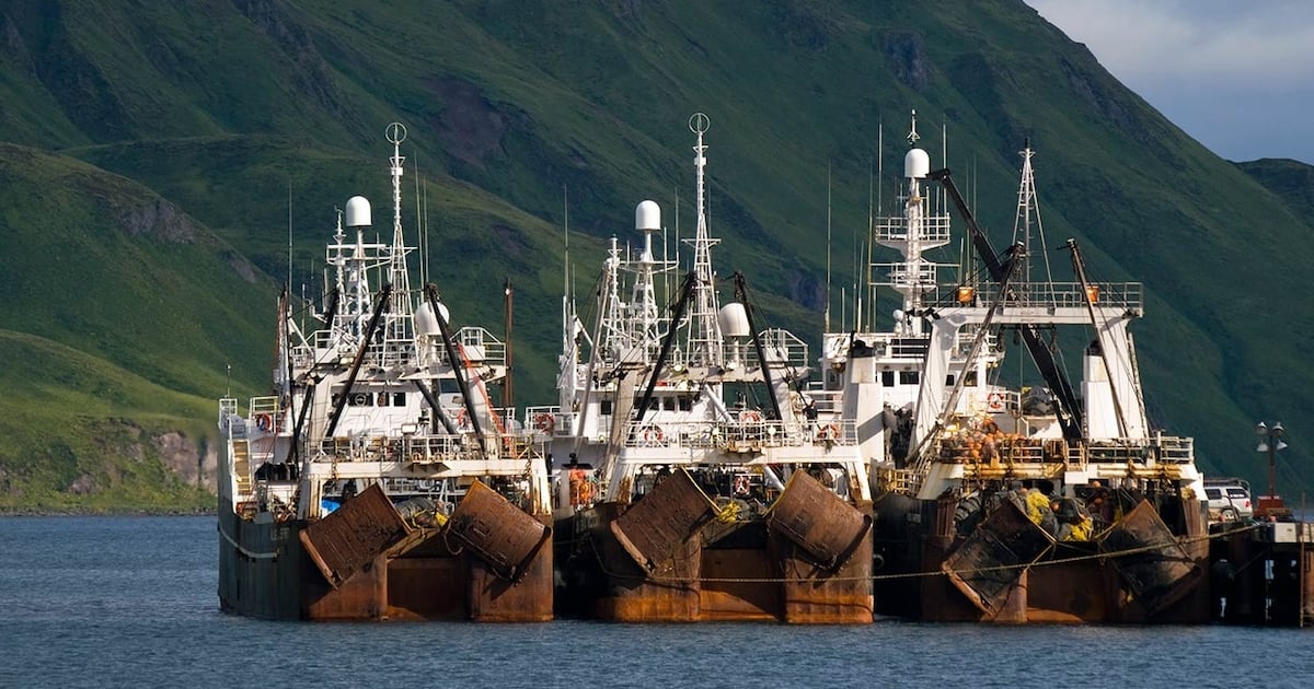 Opinion: There’s something fishy about that pollock commentary