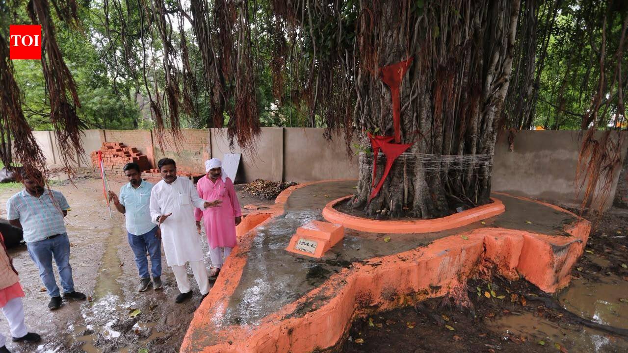 Planted on Aug 15, 1947, ‘Akshay Vat’ yearns for fresh lease of life