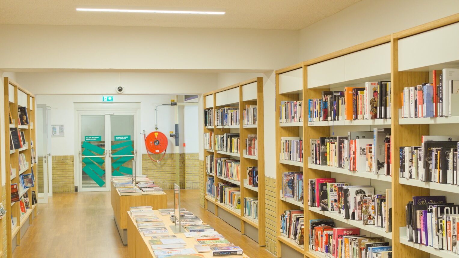 Readers still prefer paper books despite rise of digital options