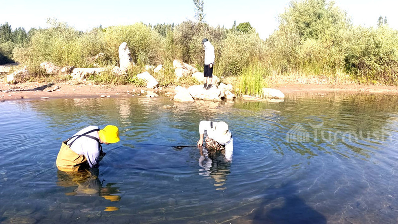Researchers from Osh and Fergana study fish in Kempir-Abad Reservoir