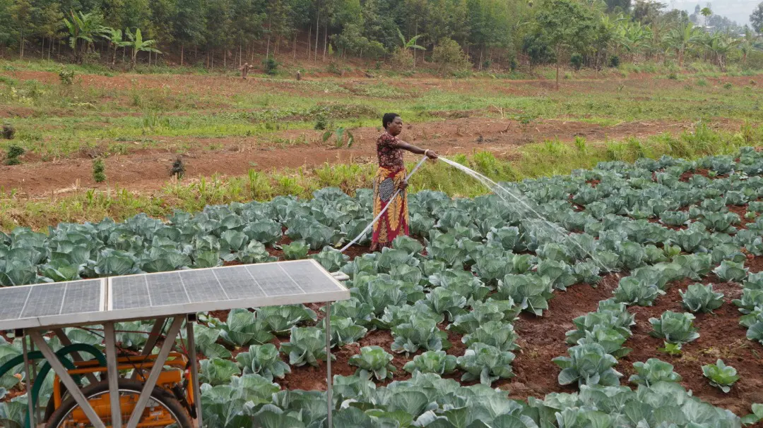 Rwanda Gets Rwf68 Billion EU Support for Climate-Resilient Agriculture