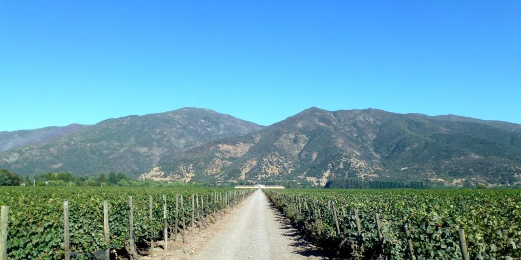 Santiago Hosts World's 50 Best Vineyards 2026