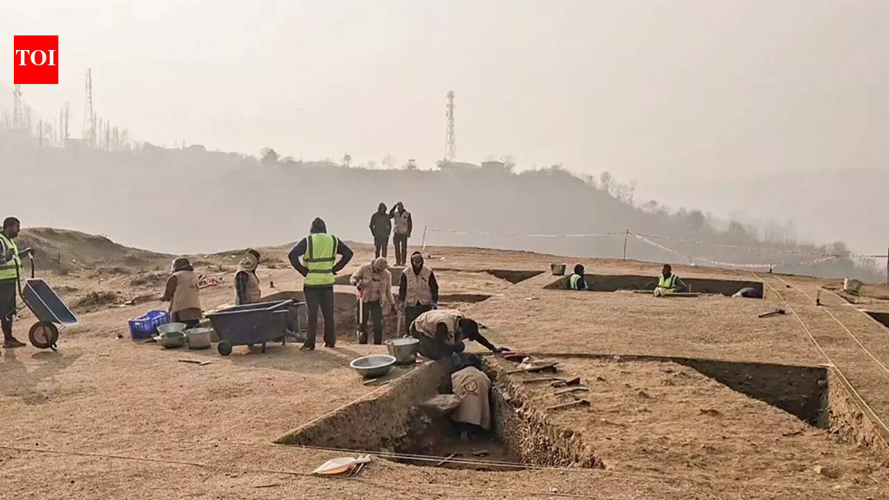 Second excavation phase at Kashmir Buddhist starts today | India News