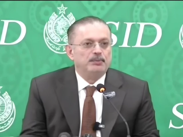 sindh information minister sharjeel inam memon screengrab youtube