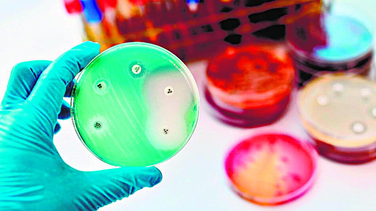 Shigellosis cases open up a new AMR challenge in Keralam