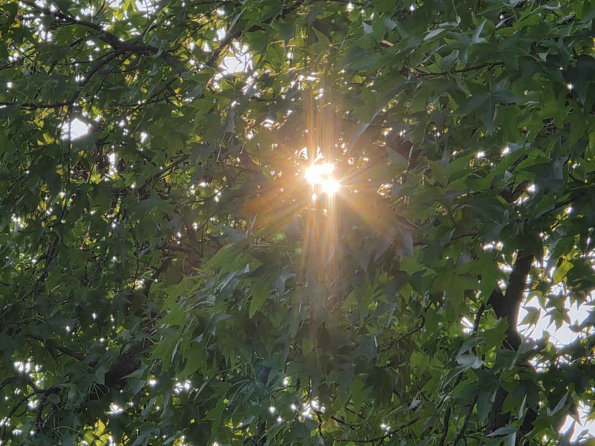 Sunshine, manageable humidity, pleasantly warm temps