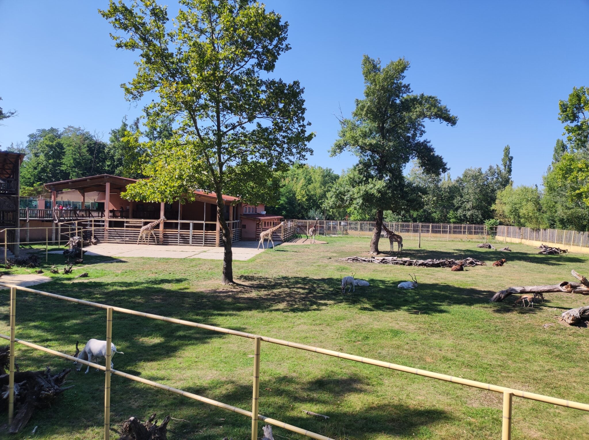 Survey Reveals the Country’s Favorite Zoos