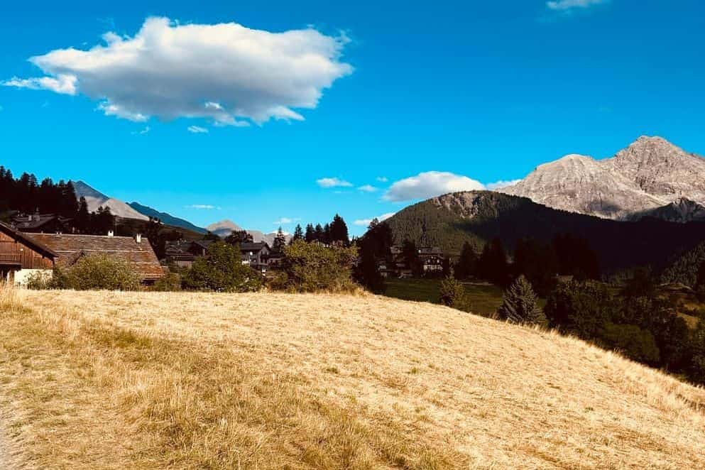 Swiss government unlocks 70m to help farmers and forest owners with drought damage