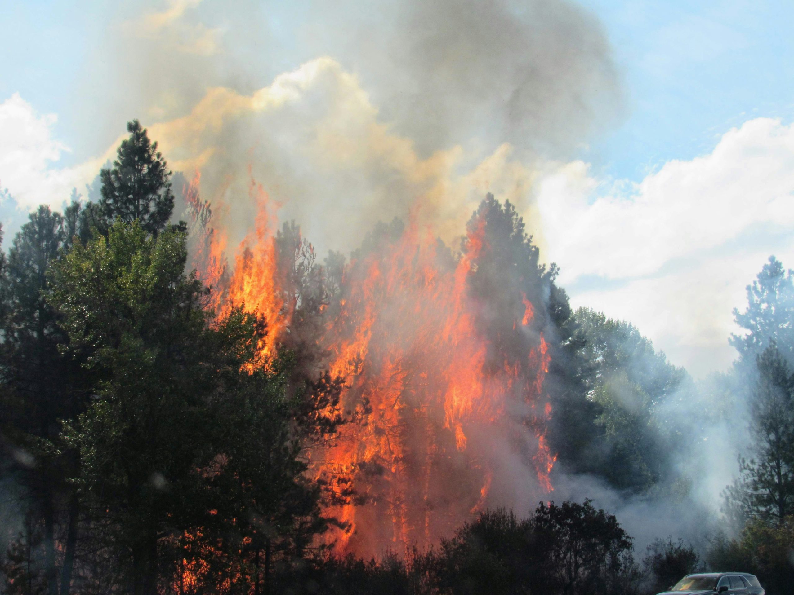 Technology against wildfire - can it replace humans?