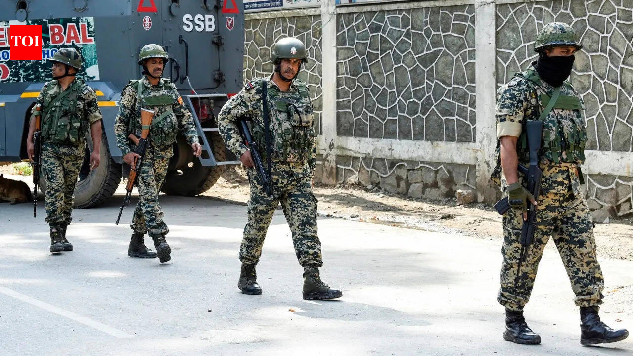 Terrorist hideout busted in Poonch, ammo seized; search ops launched in Jammu, Kathua | India News