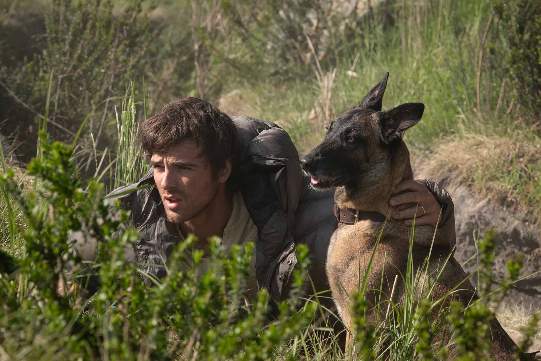 'The Dog Stars' Film Review: Ridley Scott Finds Hope in the Wasteland | Finland Today | News in English