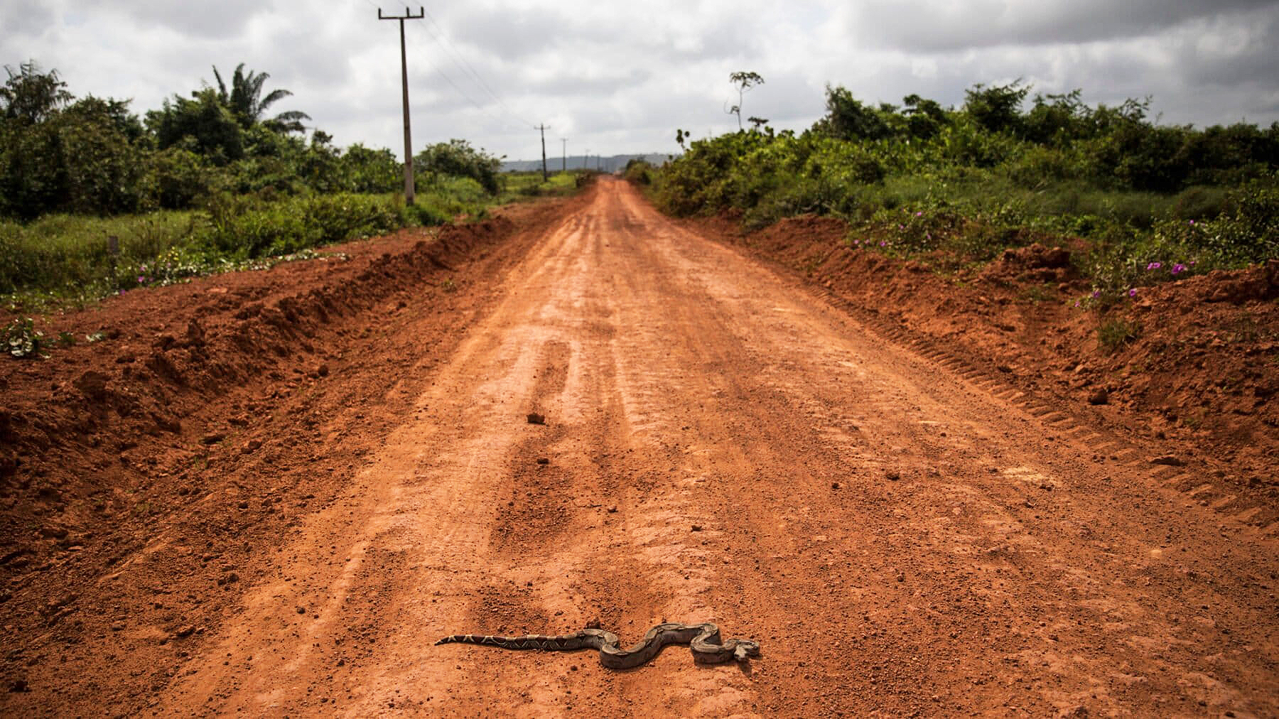 The environmentalist’s widow in Brazil who had to disappear to survive