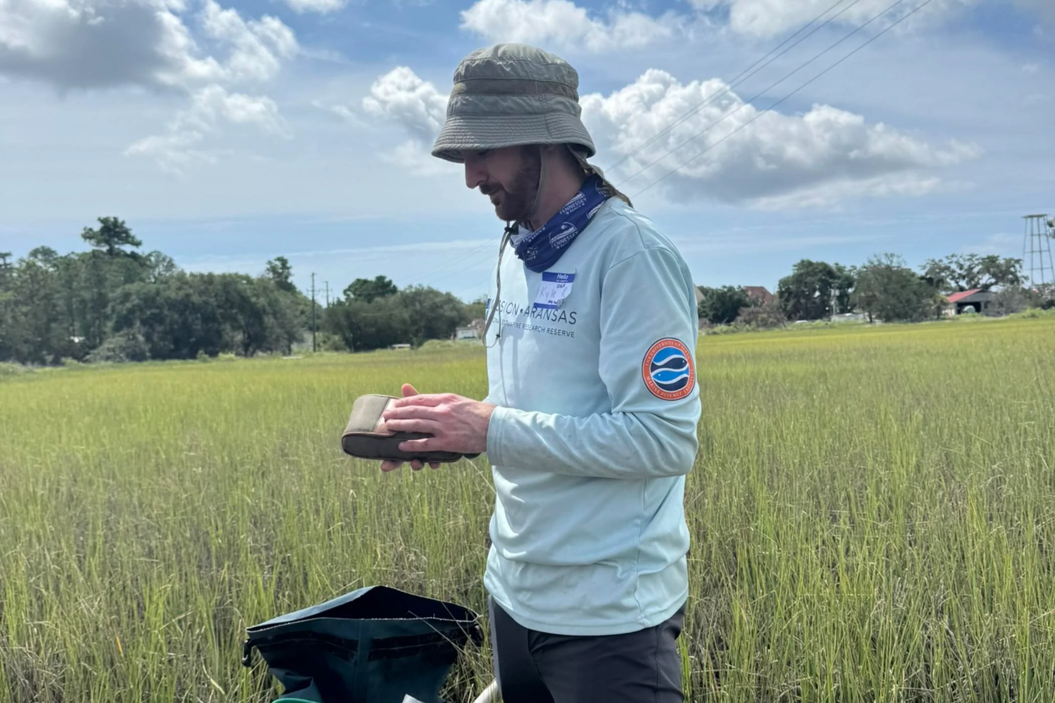 The grass looks healthy. But most of Georgia's marshes are losing their roots to sea level rise