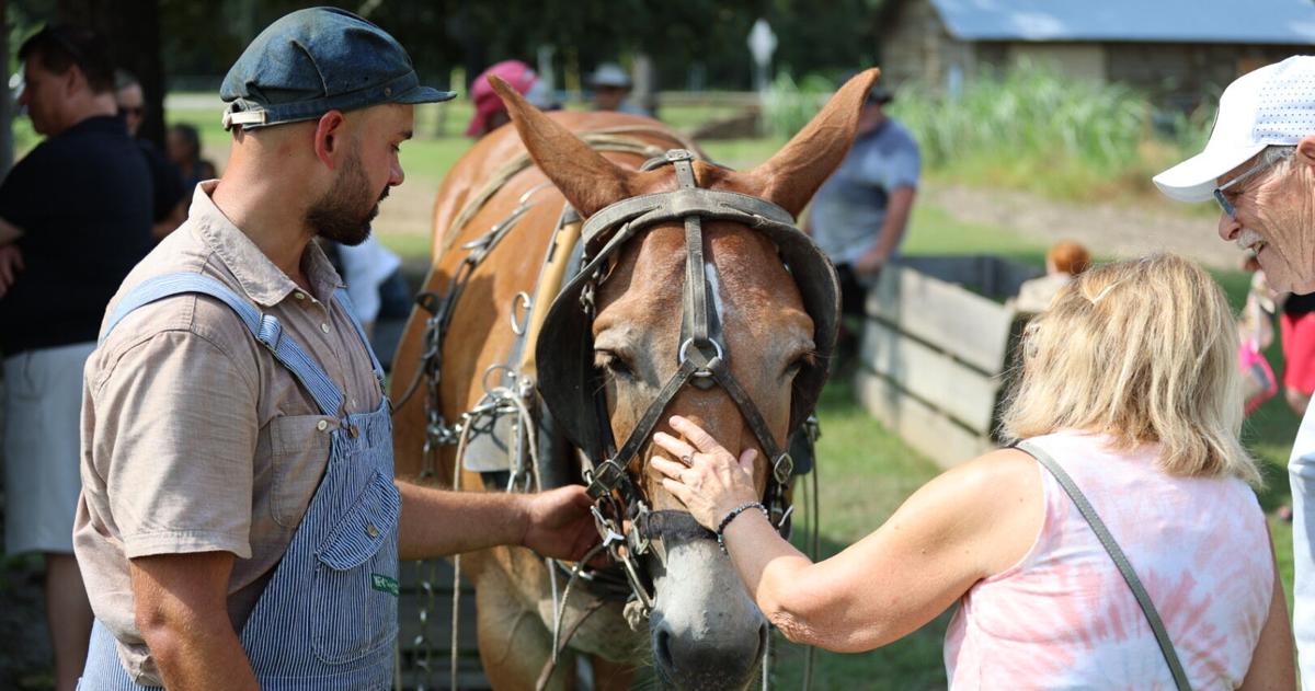 Tobacco Heritage Day at L.W. Paul Living History Farm Conway | Entertainment