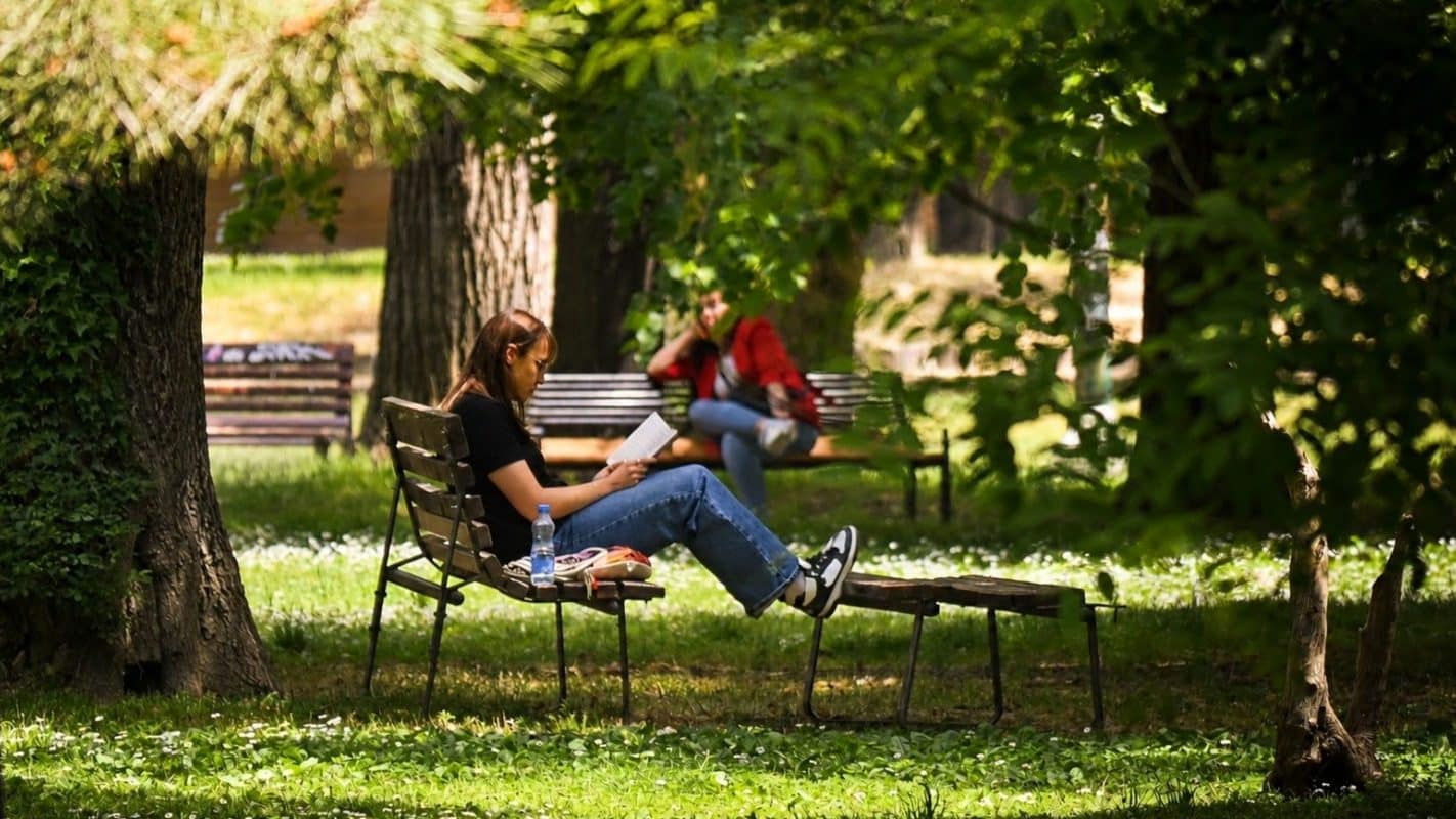 Translation Cutbacks Limit International Access to North Macedonia’s Literature