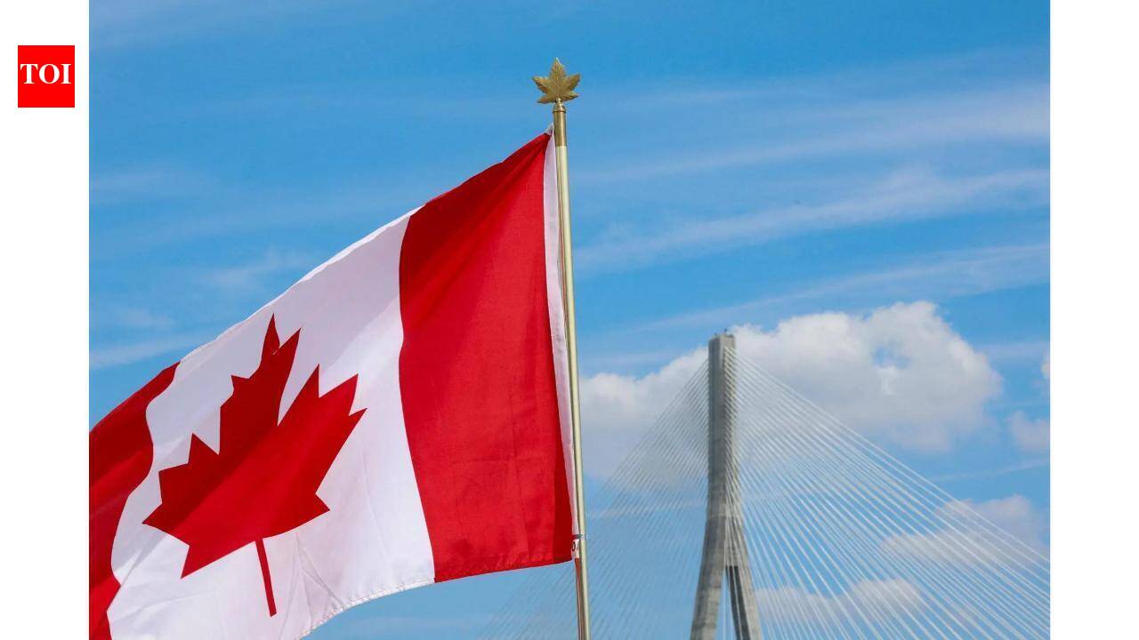 Travellers to Canada or those transiting through, here's the authorisation you may need