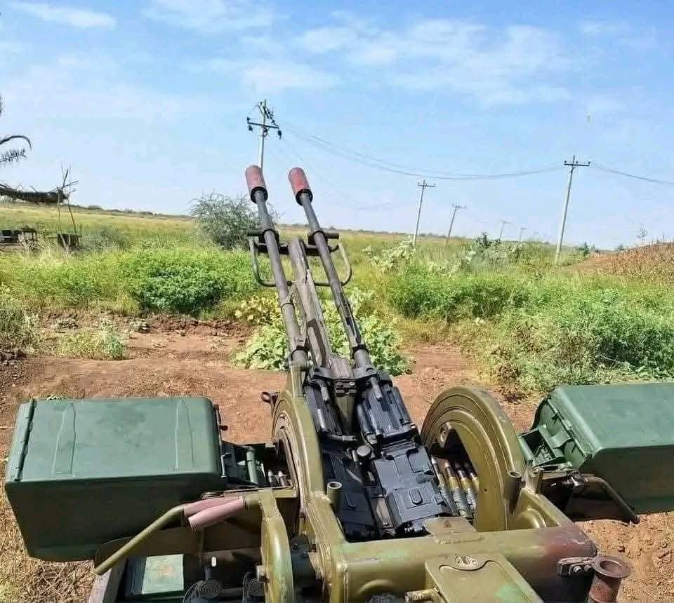 UN Security Council and Sudan: Arms embargo exposes gap between international will and action