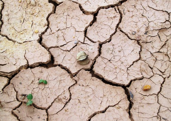 UN Summit opens with urgent call to restore the world’s degraded lands