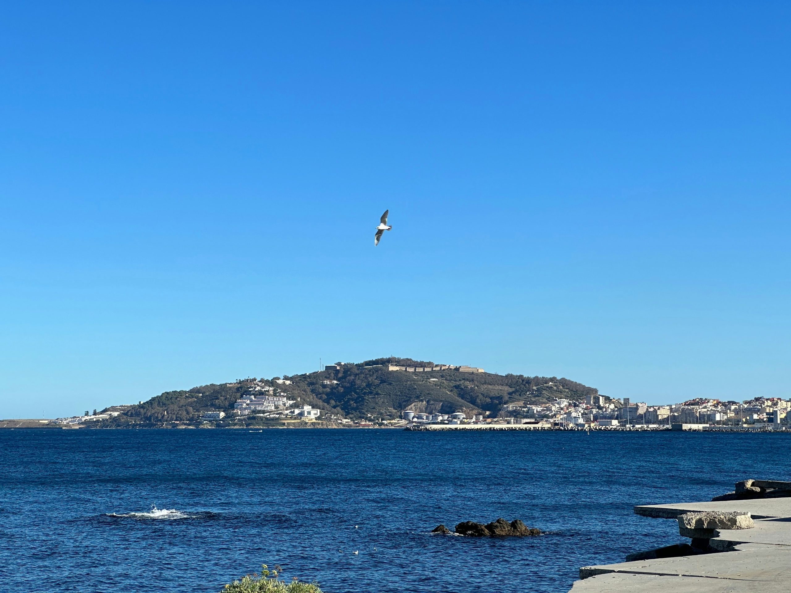 VIDEO | Nearly 50,000 migrants arrive in Spanish enclave of Ceuta in 24 hours