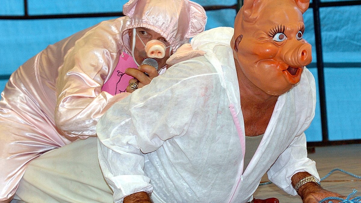 Video. Watch: Competitors battle it out in France's pig-squealing contest