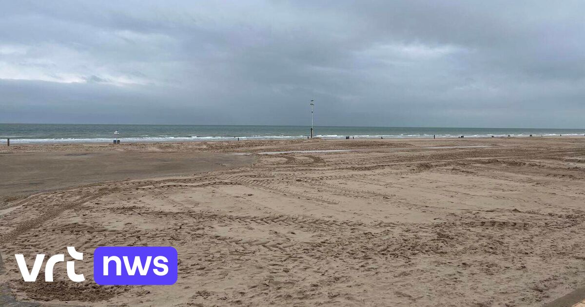 Vrouw van 75 sterft op strand van De Panne nadat ze in zee in moeilijkheden was gekomen